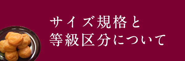 サイズ規格と等級区分について