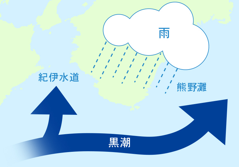 みなべの温暖な気候