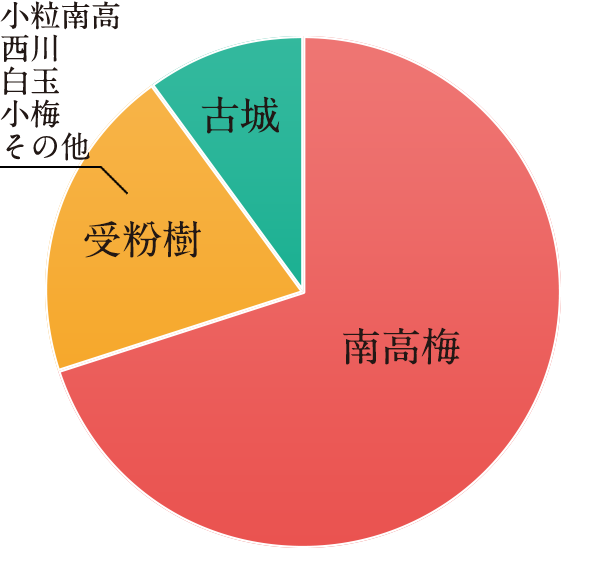 みなべの代表的な梅